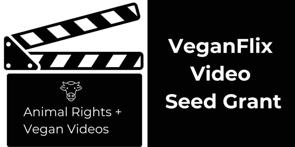 Film clapperboard with 'Animal Rights + Vegan Videos' and 'VeganFlix Video Seed Grant' text.